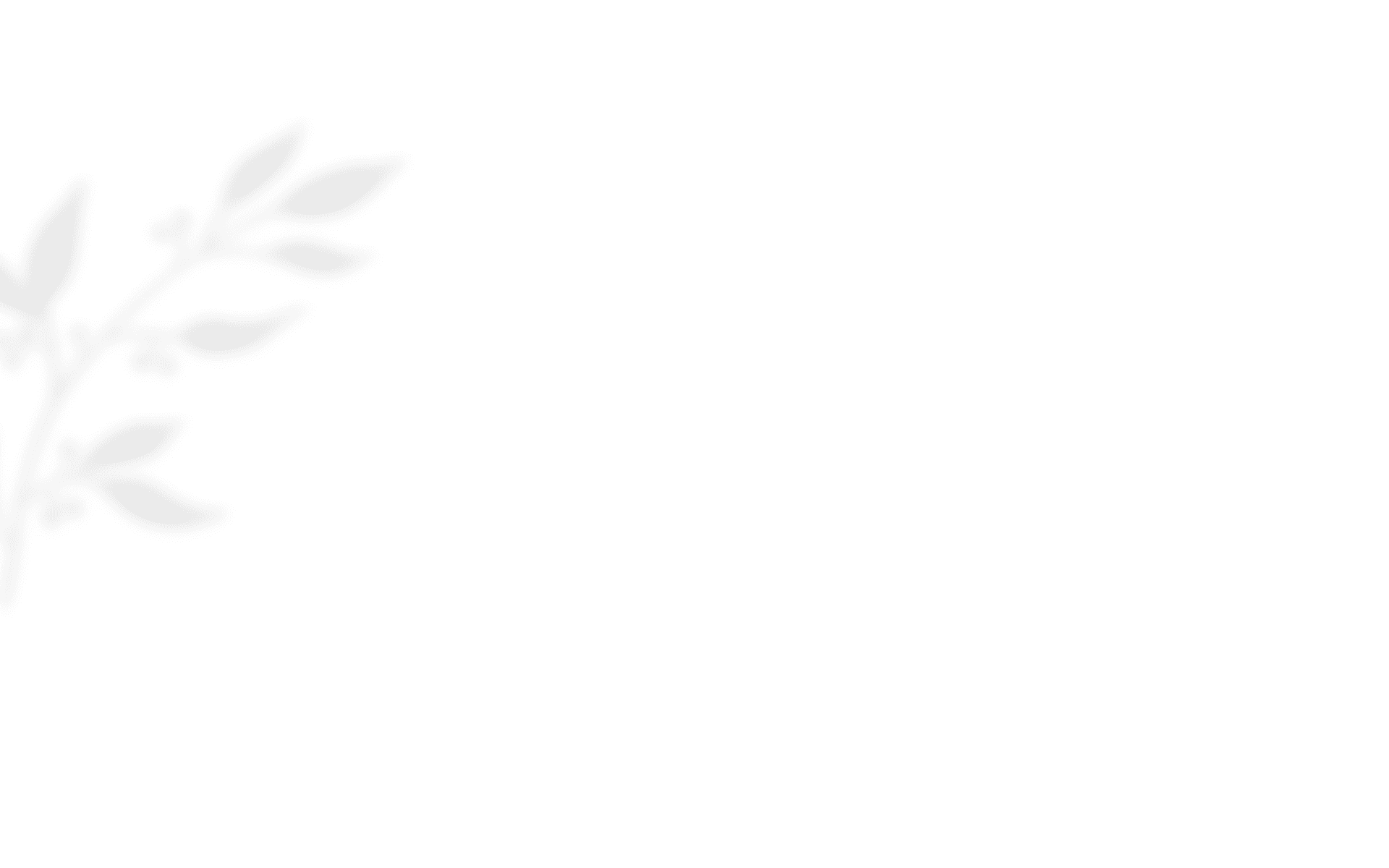 https://thebezerradowntown.com/wp-content/uploads/2020/10/shadow_leaves_03.png